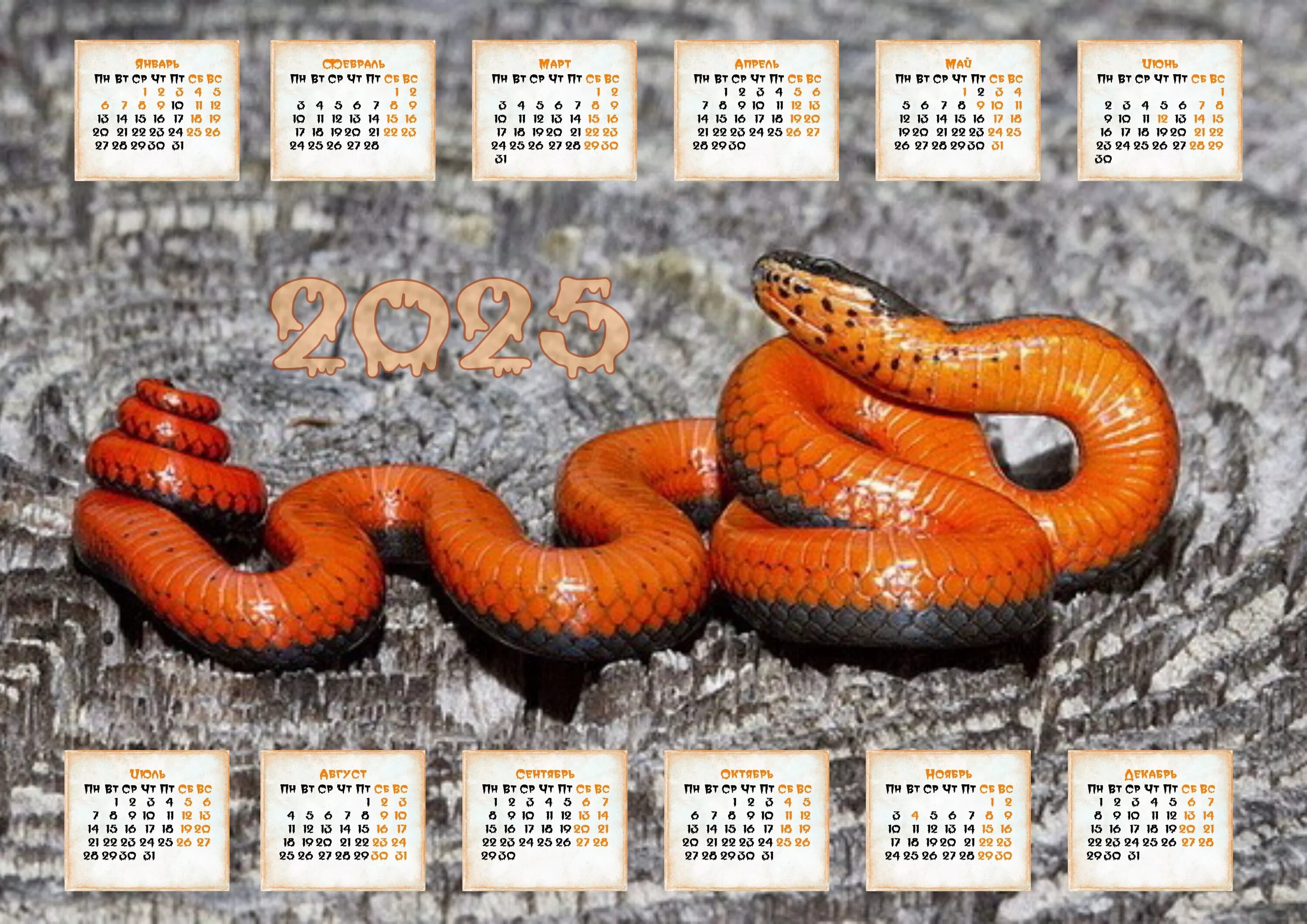 2023 год кого. Календарь 2025. Календарь на год. Календарь на 2023 год. Год змея 2025.