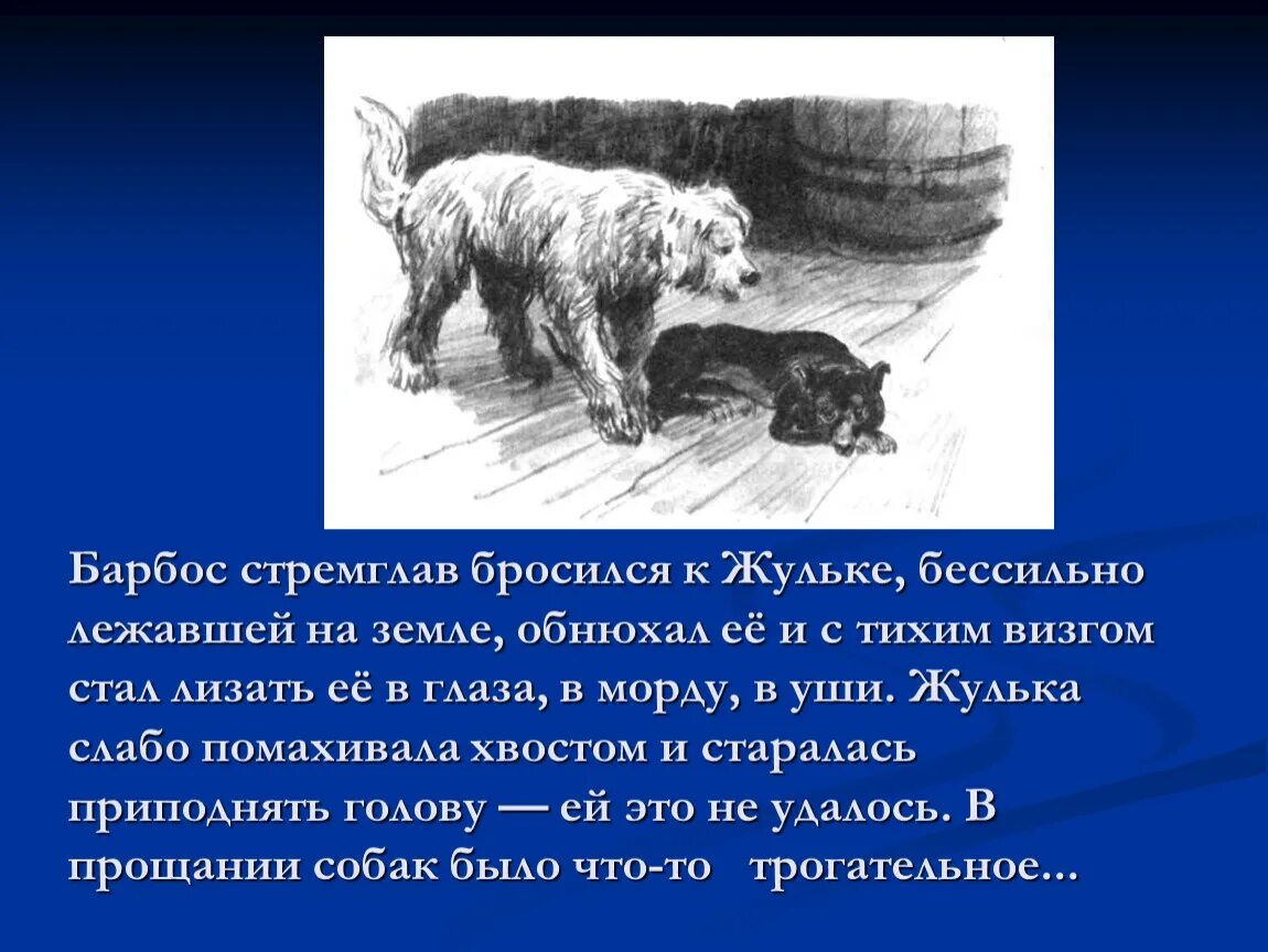 Как куприн называет отношения сложившиеся между двумя. Барбос и Жулька Куприна. Куприн для детей Барбос и Жулька. Рассказ Барбос и Жулька Куприн. Иллюстрации к рассказу Барбос и Жулька Куприн 4.