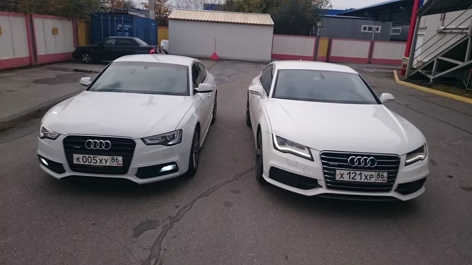 А5 с5. Ауди а5 Рестайлинг. Ауди а6 с7 белая. Ауди а5 с7 Рестайлинг. Audi a7 vs a8.