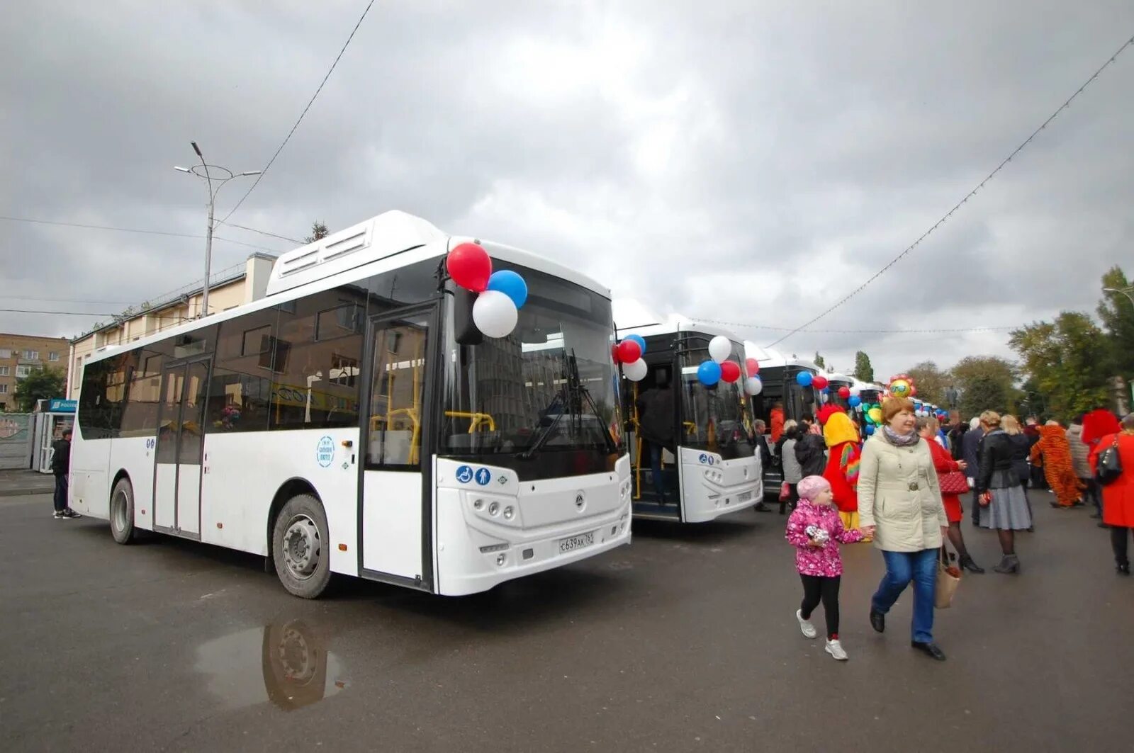 Автобус сальск волгодонск. КАВЗ 4270-70. КАВЗ-4270 низкопольный. Автобус КАВЗ Сальск. Сальск ПАТП автобус.