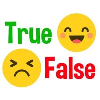 True false game