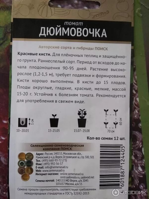 Томат черри дюймовочка. Помидоры дюймовочка описание сорта. Помидоры дюймовочка описание сорта. Дюймовочка сорт помидор. Томат черри дюймовочка.