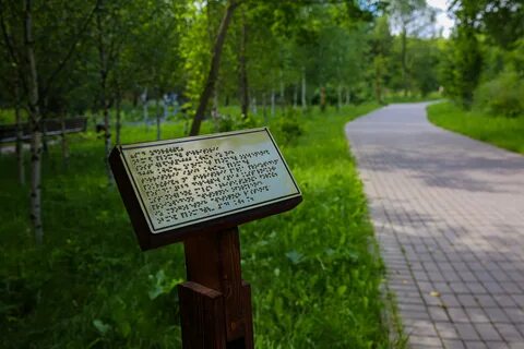 Заказник долина реки сетунь