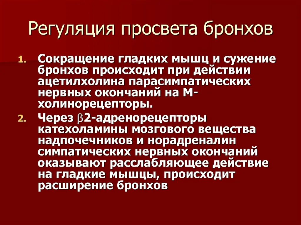 Дыхание мышцы сокращение легких