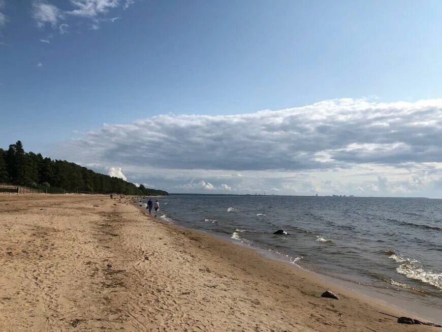 Репино пляж. Репино финский залив. Посёлок репино приморское шоссе. Финский залив посёлок репино. Репино ленинградская область пляж чудный.