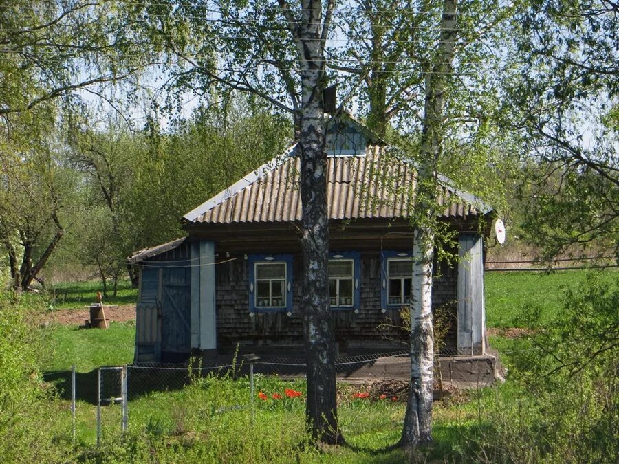 Фенино Ельнинский район Фотопланета
