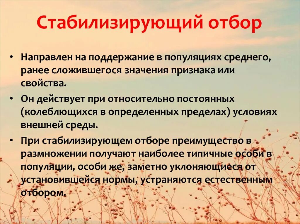 Стабилизирующий отбор в каких условиях. Стабилизирующий отбор. Стабилизирующий отбор направлен на поддержание. При стабилизирующем отборе в популяциях:. Стабилизирующий отбор направлен на поддержание в популяциях.