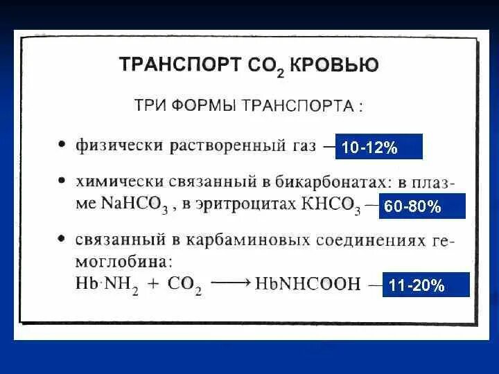 Формы транспорта углекислого газа кровью. Три формы транспорта углекислого газа. Формы переноса углекислого газа кровью. Транспорт углекислоты кровью физиология. 3 перенос газов кровью