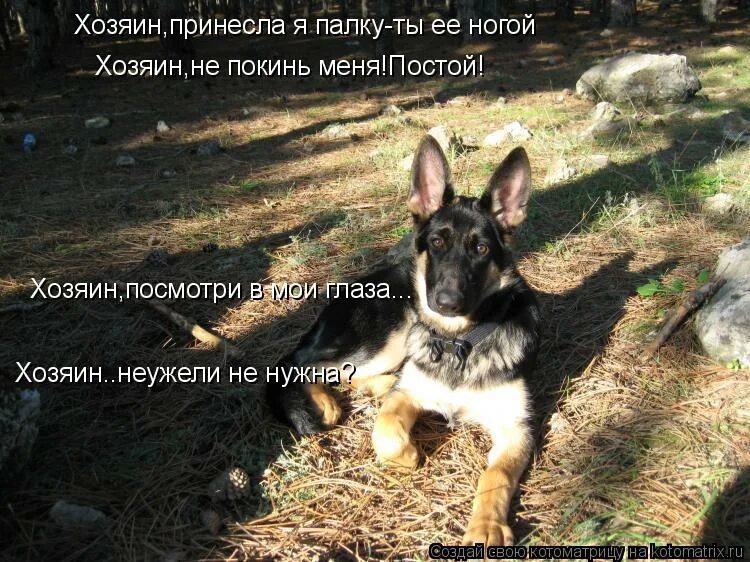 Да пребудет тобой сида. Мастер не оставляйте меня. Мастер не оставляйте меня. Да прибудет с тобой сила. Кунг фу панда угвэй.