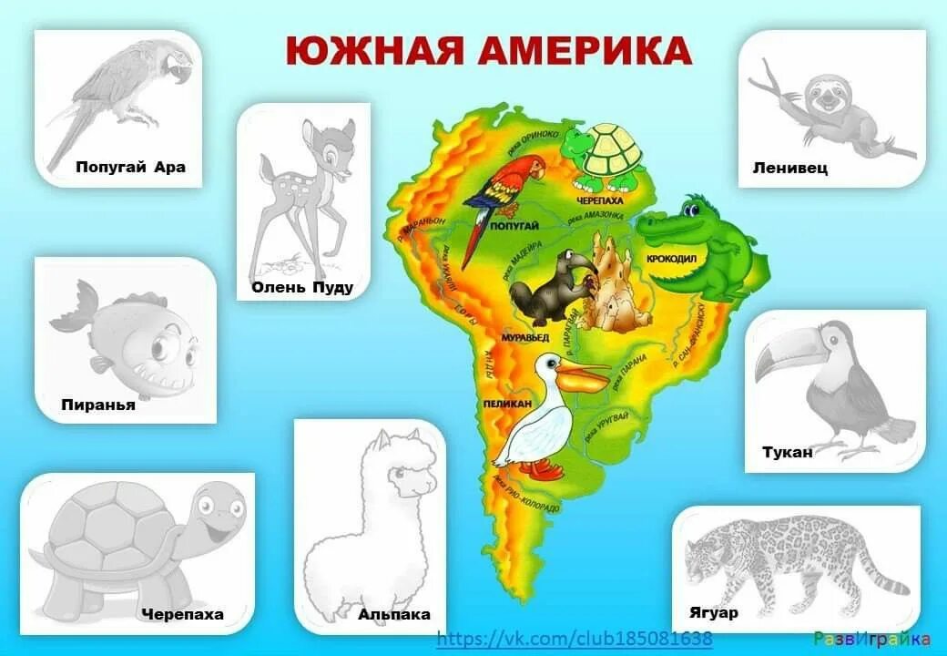 Кто живет в южной америке животные. Континенты для дошкольников. Материки для дошкольников. Животные континентов для детей. Изучение материков для детей.