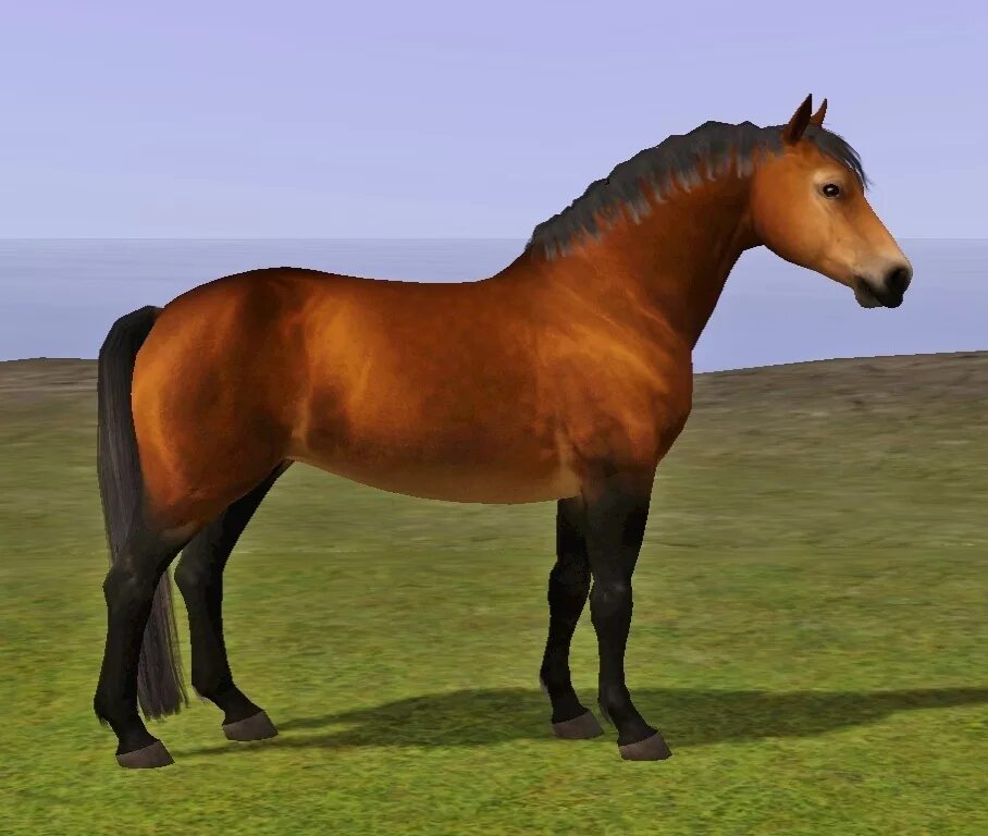 Horse sim. Симс 3 лошади. Симс 3 пони-лошади. SIMS 4 лошади. SIMS 3 лошади.