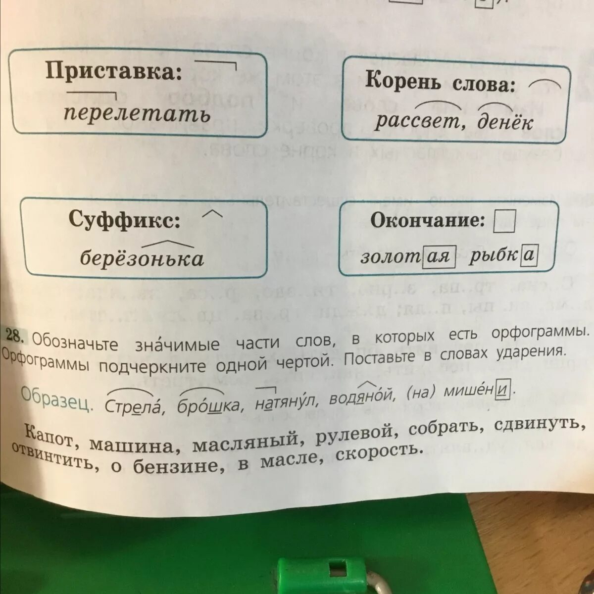 Корень слова куриный