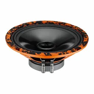 Dl audio gryphon lite 12 v 3