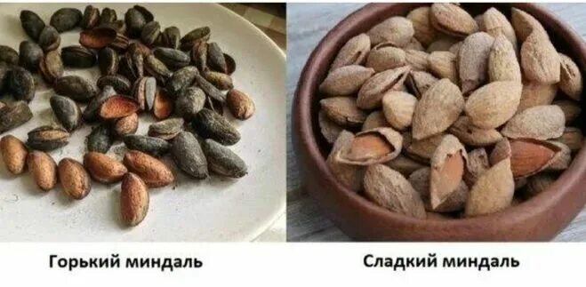 Как отличить сладкий