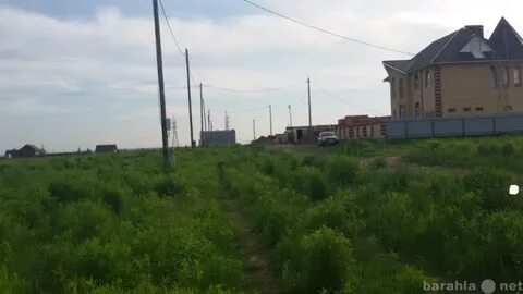 Погода в ягуле