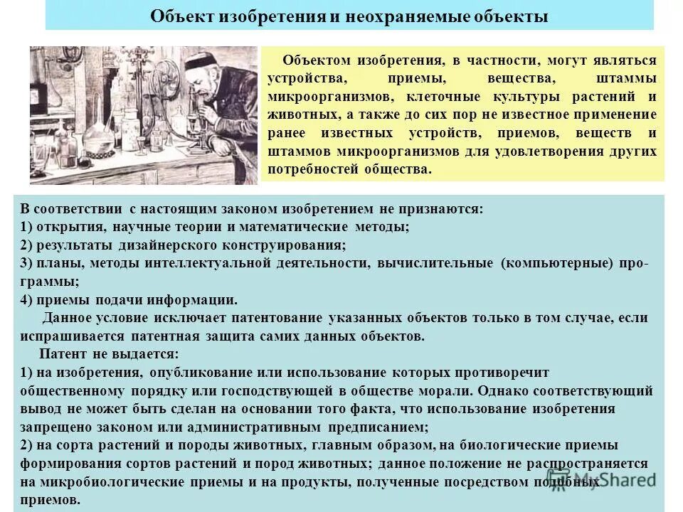 какие законы. законы доброты. выдуманные законы. законы изобретены. цитаты про этикет.