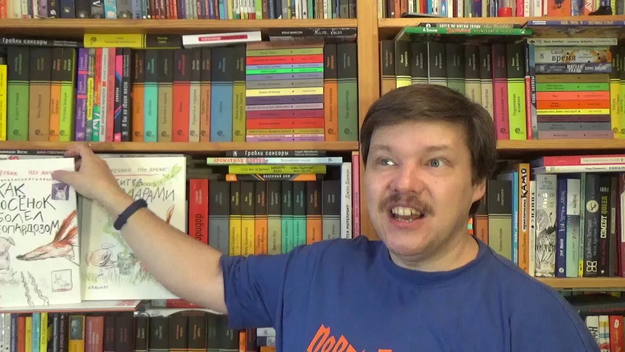Бьерн рервик. Пер дюбвиг. бьёрн рёрвик. рервик бьёрн фредрик. битва с комарами бьёрн рёрвик книга.