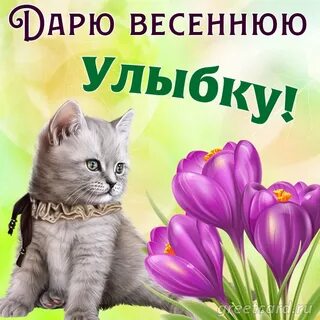 Улыбаемся весне