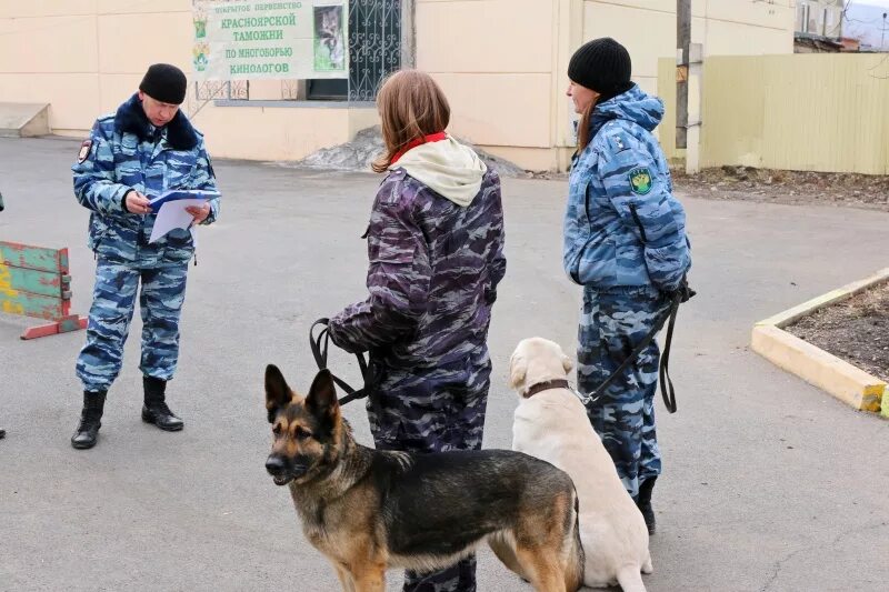 Кинология красноярск. Кинология красноярск. Кинология красноярск. Школа кинолога в красноярске. Кинология красноярск.