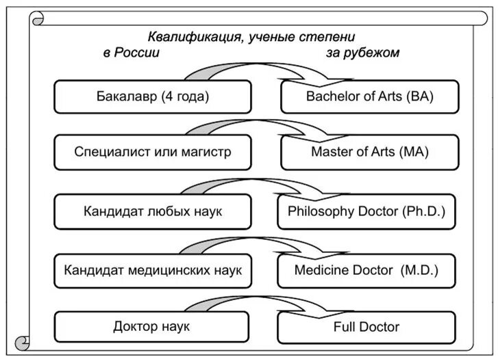 Педагогические звания. Ученые степени и ученые звания в РФ. Научная иерархия званий в России. Структура ученых степеней и ученых званий в РФ. Иерархия научных степеней.