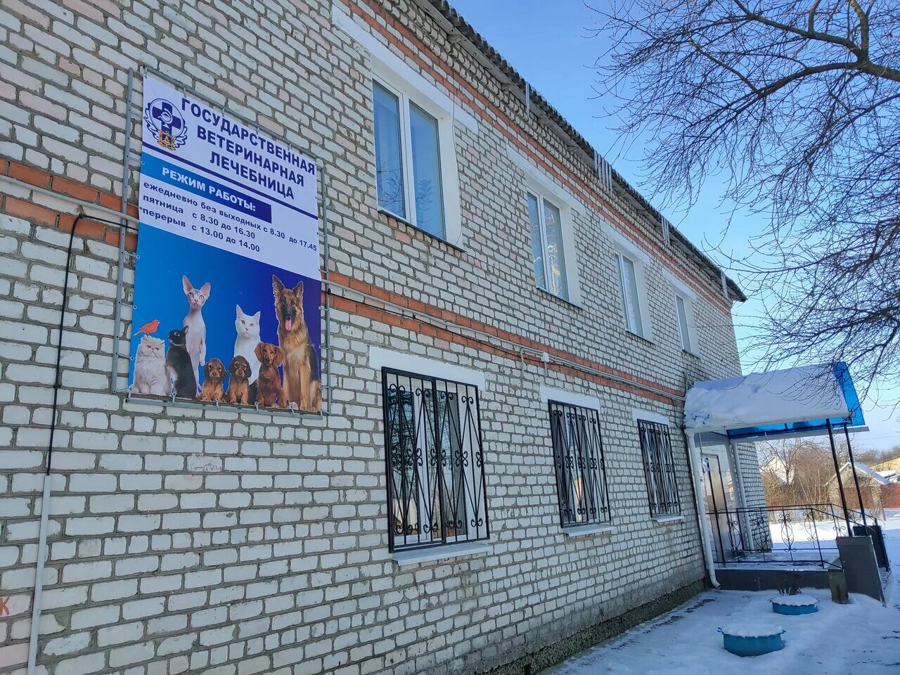Биовет новозыбков. Новозыбков ветеринарная. Биовет новозыбков отзывы. Новозыбков ветеринарная. Ветклиника новозыбков.