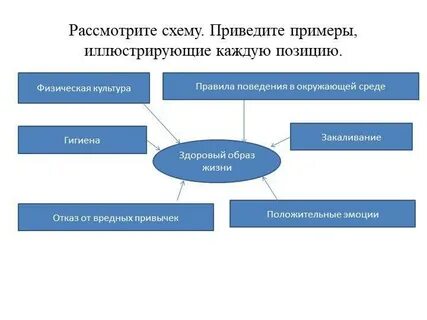 Примеры иллюстрирующие деятельность