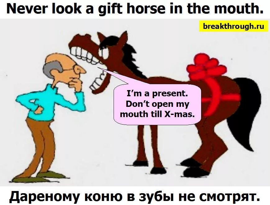 Дарёному коню в зубы не смотрят. Дареному коню в зубы нес. Дареный конь. Пословица дареному коню в зубы. Поговорка дареному коню в зубы
