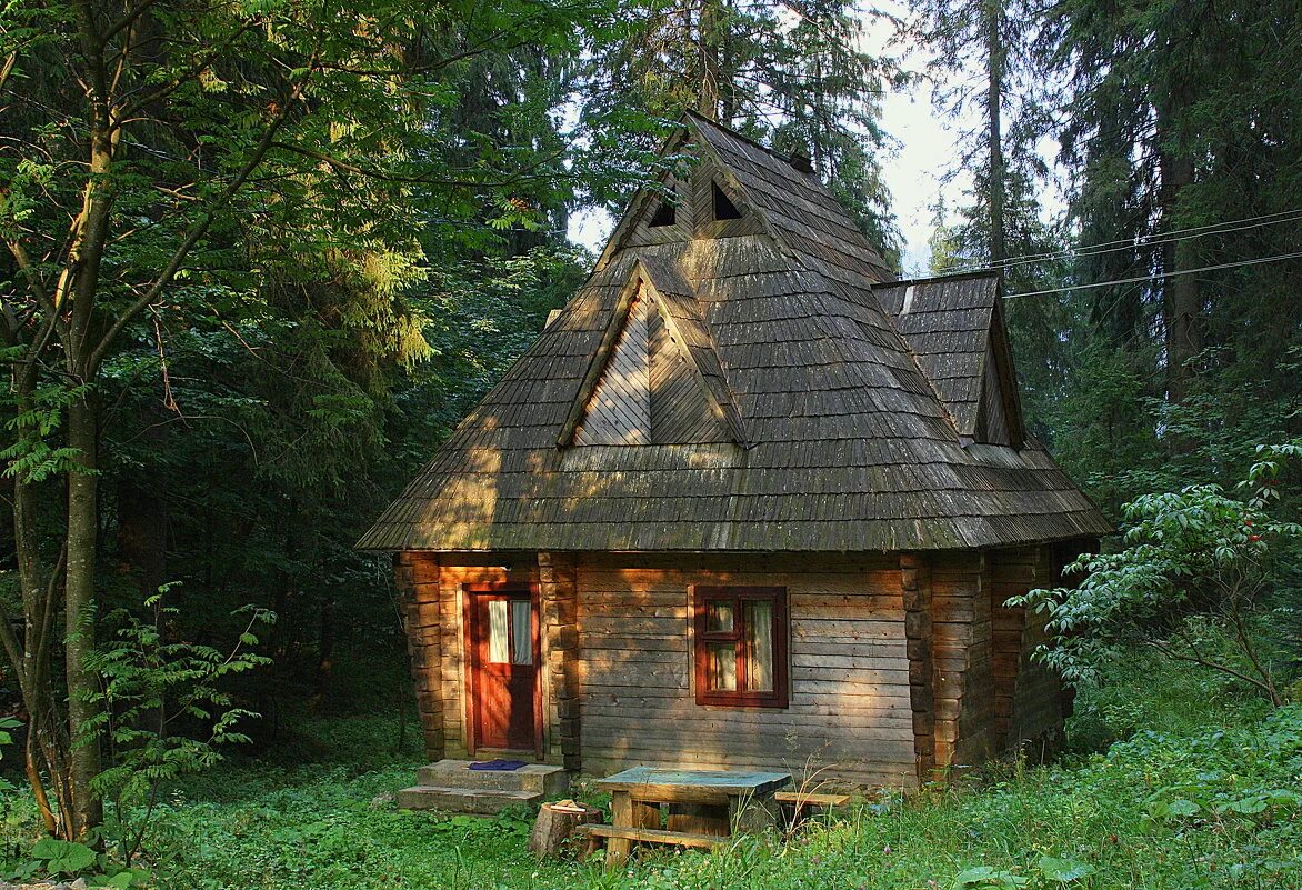 кп домик в лесу дмитровское шоссе. лисичкин лес коттеджный поселок дом в лесу. лесные дома видео видео. хижина гномов, британская колумбия. хижина маккензи.