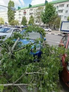 Наш белгород телеграм