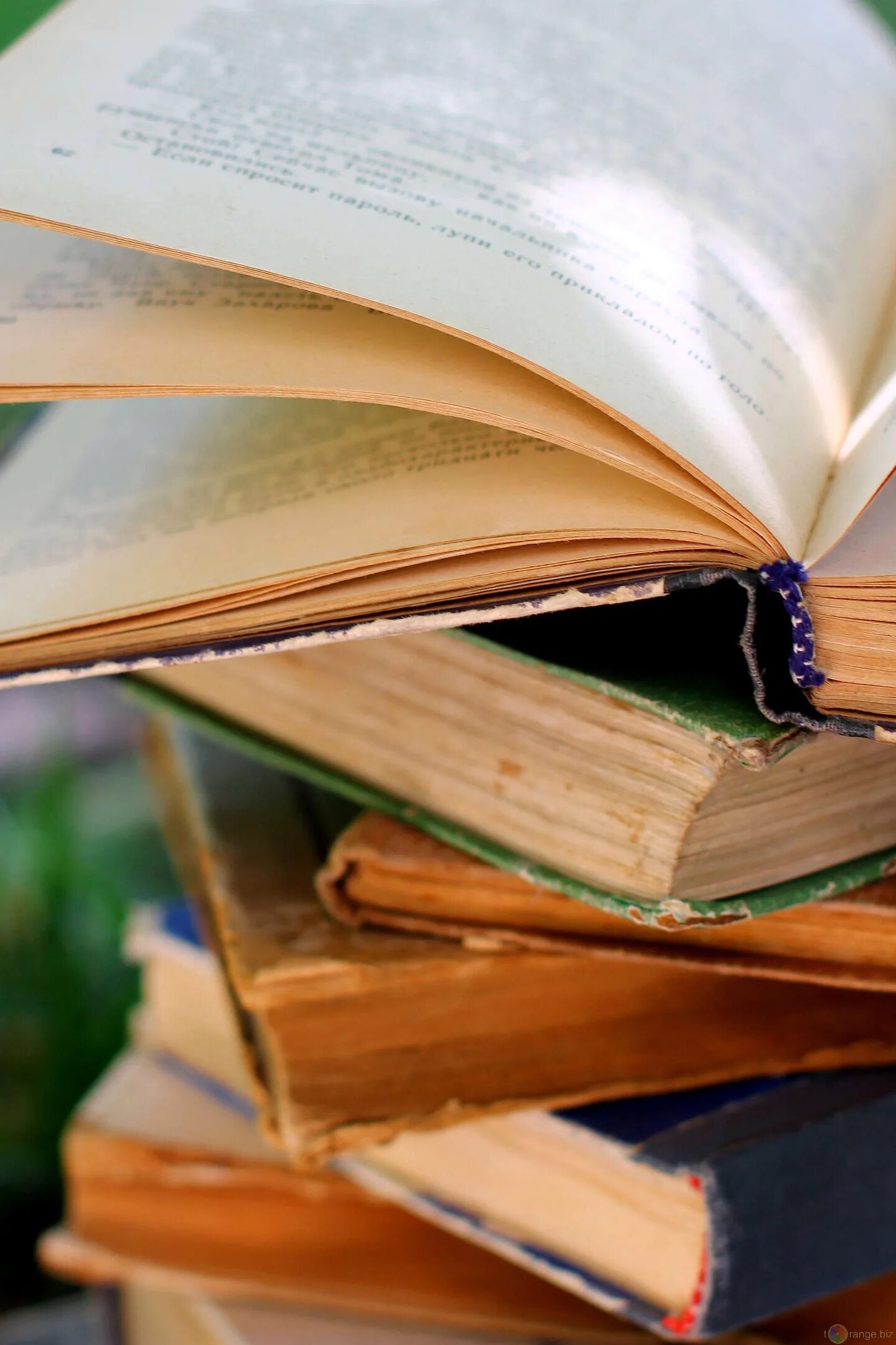 Книга для…. Pictures книги. Pictures книги. Pictures книги. Книга для….