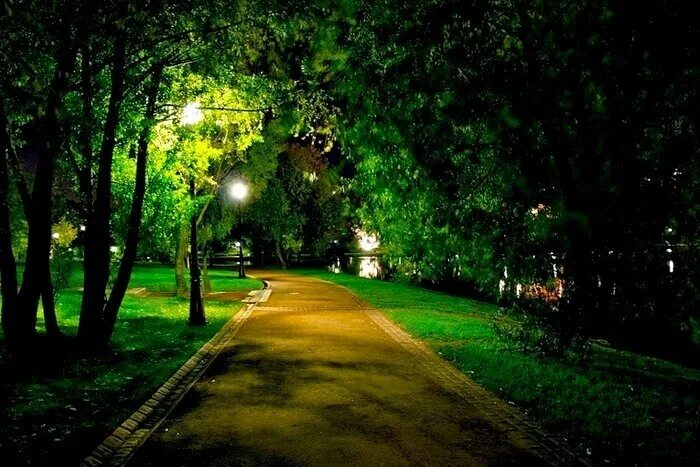 Осенний вечер. Вечерний парк. Парк горького москва вечером. Аллея в парке ночью. Вечерний парк.