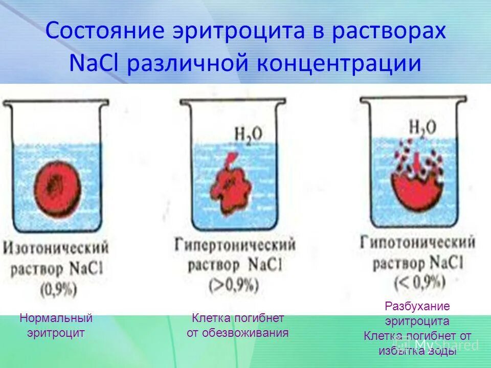 Изменение концентрации натрия хлорида