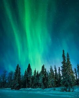 Aurora green
