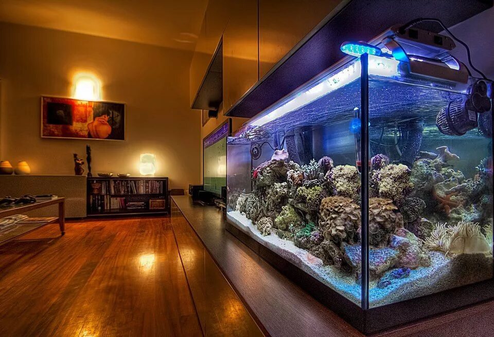 Аквариум aquarium. Красивые аквариумы. Морской аквариум. Дизайнерский аквариум. Большие аквариумы.