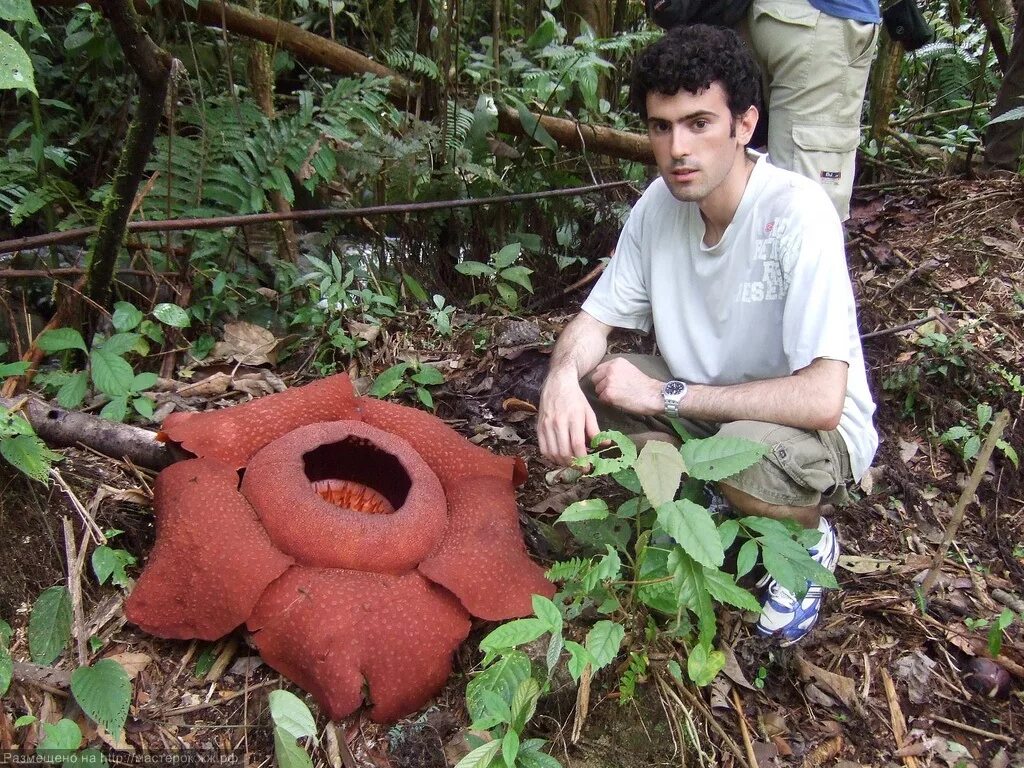 Джейсон барнум терминатор. Самого ядовитого человека. Джейсон барнум преступник art. Самого ядовитого человека. Самое мерзкое насекомое в мире.