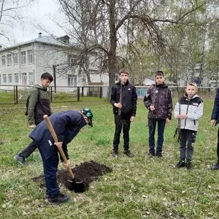 Сош 8 петровск