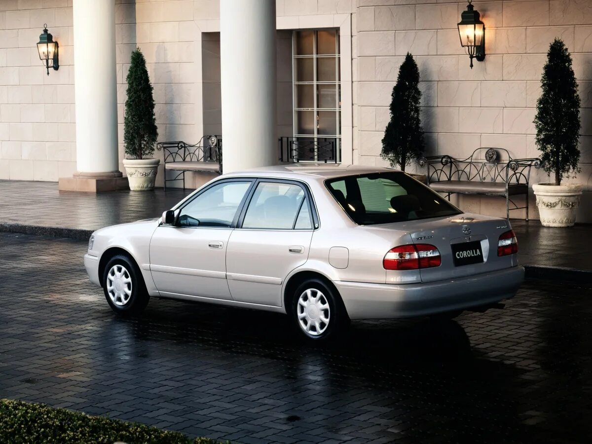 Corolla viii