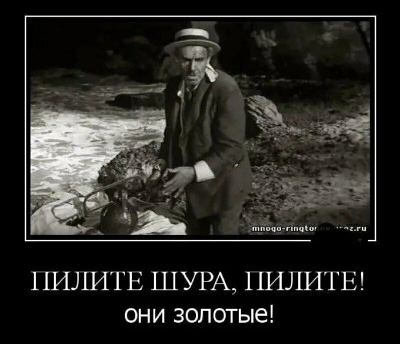 паниковский пилите шура пилите. шура пилите гири они золотые. шура балаганов пилит золотой теленок. пилить дрова приколы. пилите шура пилите они золотые.