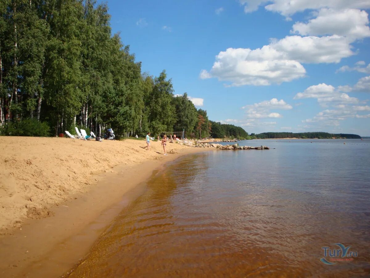 Пляж Коприно Рыбинск. Ярославское Взморье бухта Коприно. Коприно Взморье пляж. Коприно Ярославская область Рыбинский район пляж.