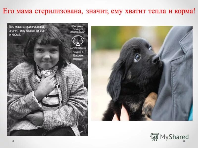 Теплые слова дорогому человеку. Filippa fransson lindqvist. Филиппа франссон инстаграм. Мерзнете. Бабье лето в москве.