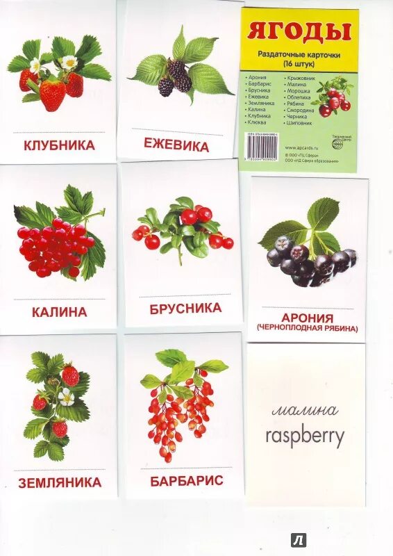 Как называется ягодка. Ягоды названия. Садовые ягоды названия. Карточки ягоды. Ягоды с названиями для детей.