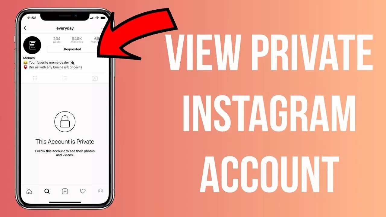 Pinkdi приват. Private Instagram viewer. Instagram private account viewer. Instagram account view. Instagram Post viewer.