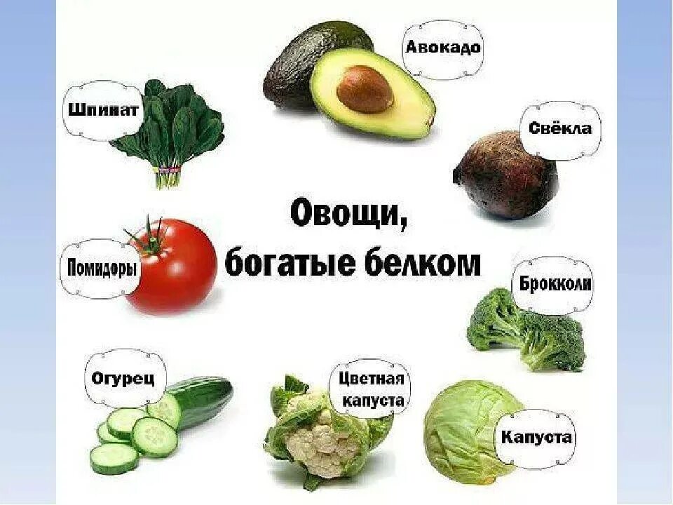 Какие продукты что содержат. В каких овощах содержится белок список. где содержатся белки. где содержится белки в каких продуктах. где содержится больше белка в каких продуктах.