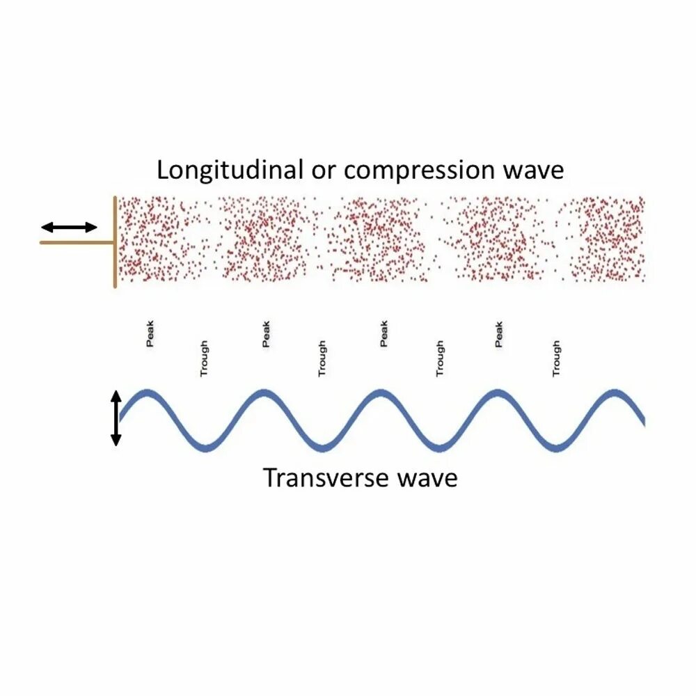 Sound physic 1.19. Transverse and longitudinal Waves. Sound longitudinal Wave. Transverse Wave. Compression Waveform.