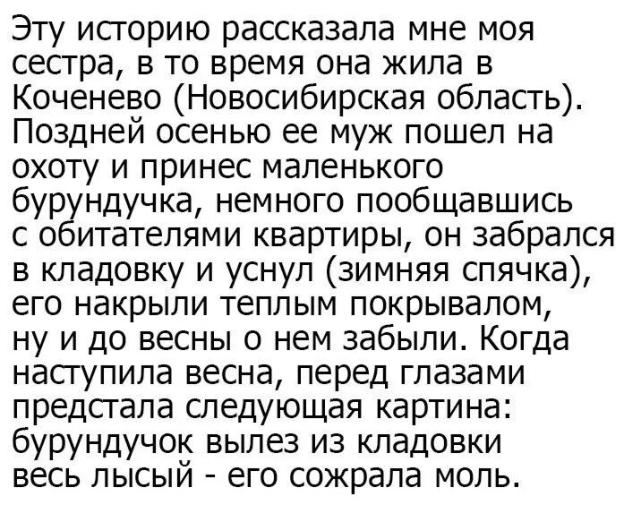 пересказ снежная королева 5. краткий пересказ снежная королева. пересказ снежная королева 5. идея сказки снежная королева. снежный король описание.