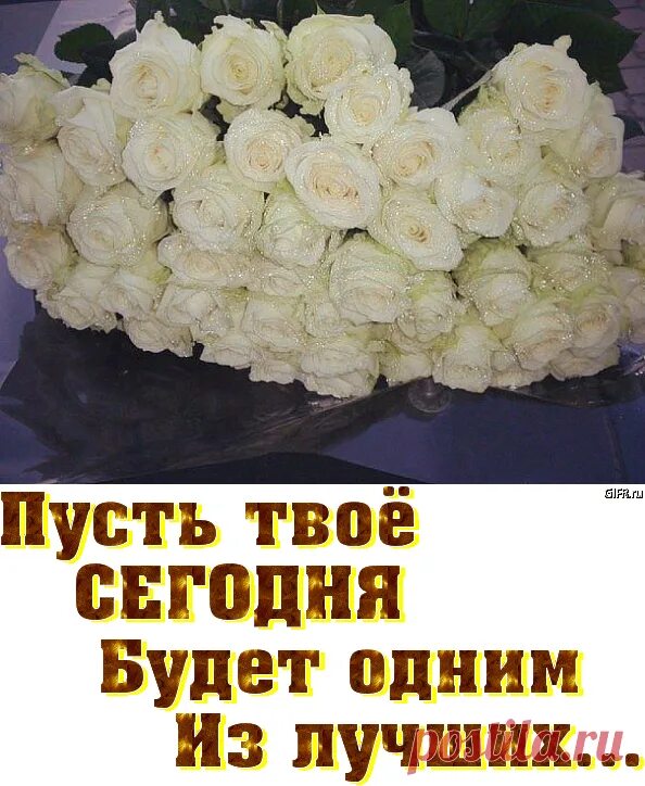 Открытки с белыми розами. Букет белых роз вечер. Букет белых роз для тебя. Белые розы подруге.