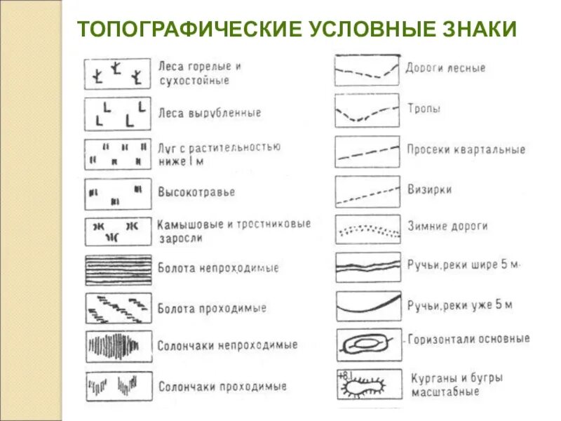 Что показывают условные знаки. Обозначение топографических картах география. Топографические обозначения на карте 5 класс география. Обозначение лесн на топографических картах. Обозначения на топографических картах расшифровка 5 класс.