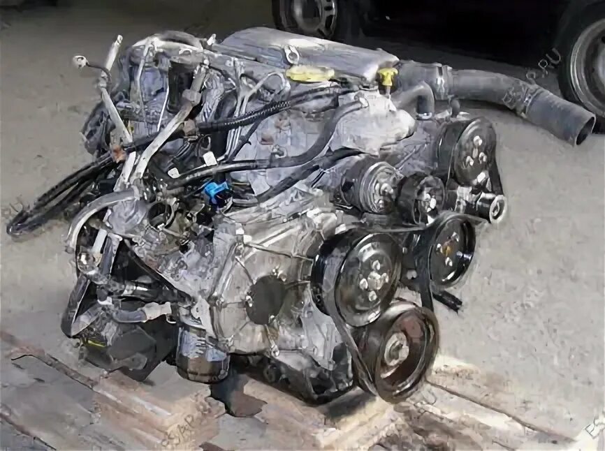 Двигатель 265. Кохлер 6. Двигатель мтз 82 д242. 4 150. Двигатель 265.