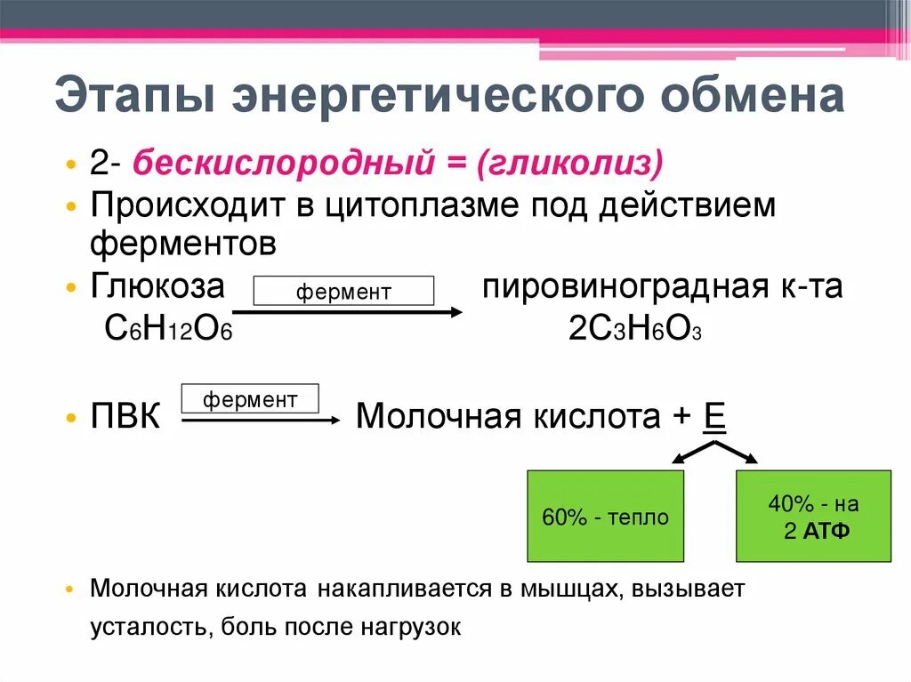 Энергетическим обменом является