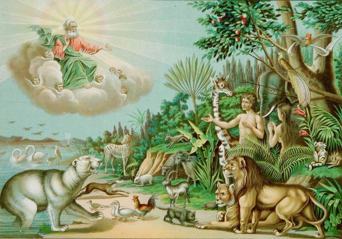 Бог сделал землю. Древо жизни и Древо познания добра и зла. Сотворение Адама и Евы.
